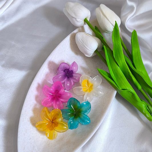 5 Combos of Transparents Floral Claw Clips, Size-XS